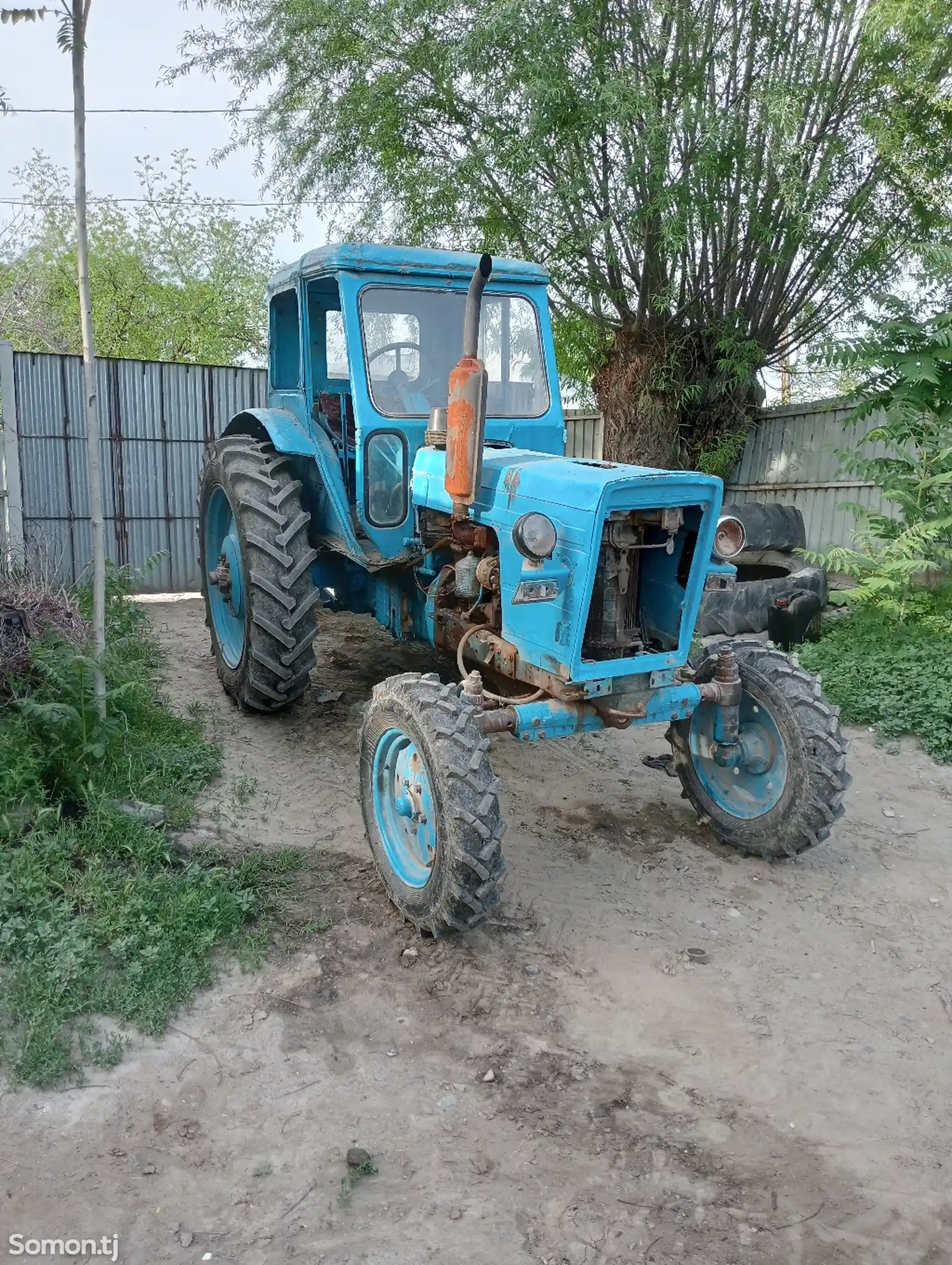 Трактор МТЗ-5