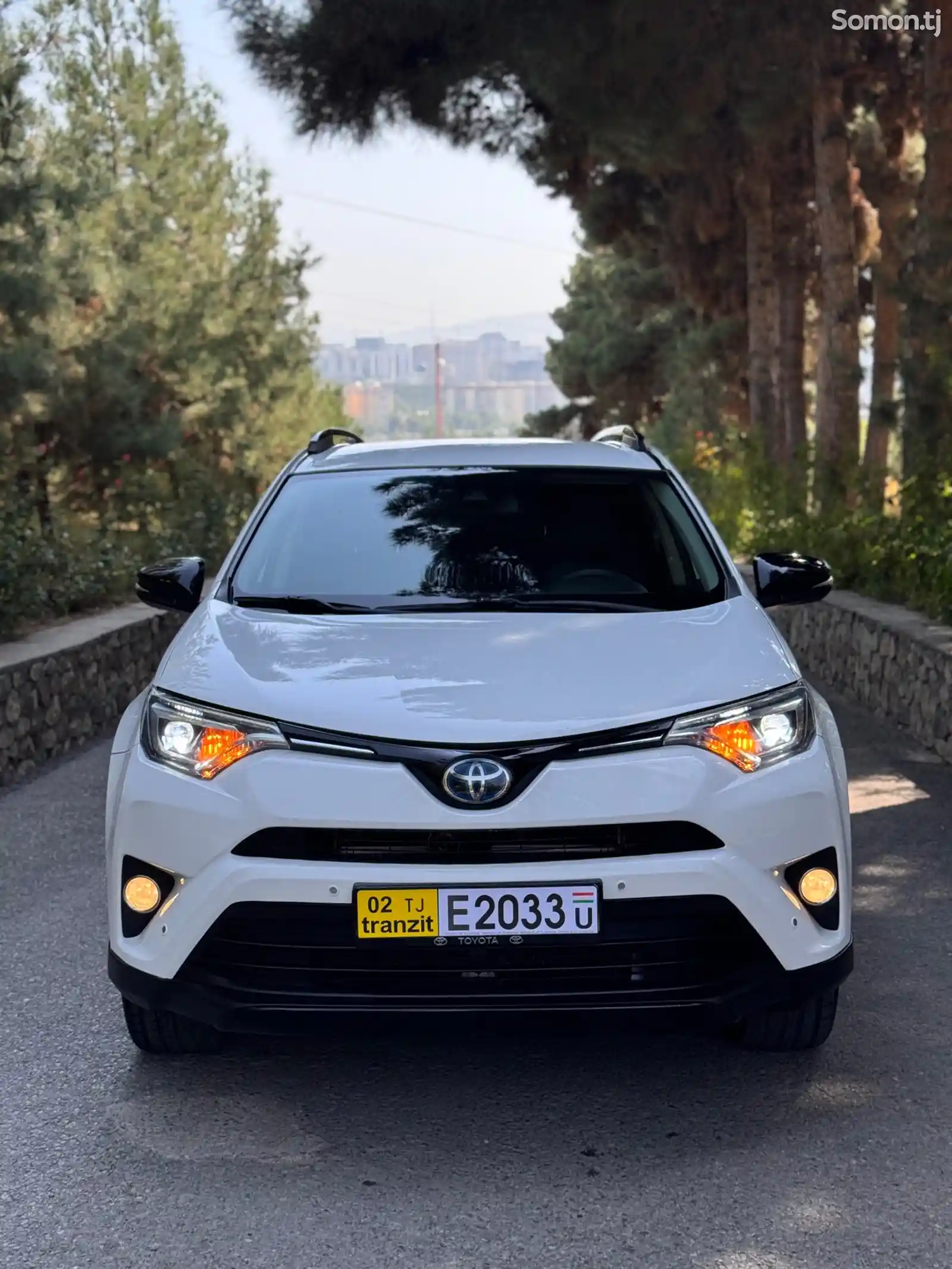 Toyota RAV 4, 2019-1