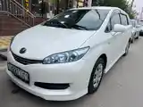 Toyota Wish, 2009-7