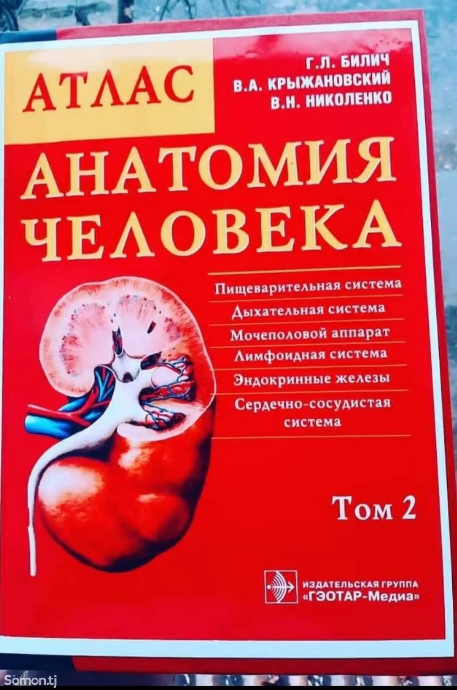 Книга - Анатомия человека-1