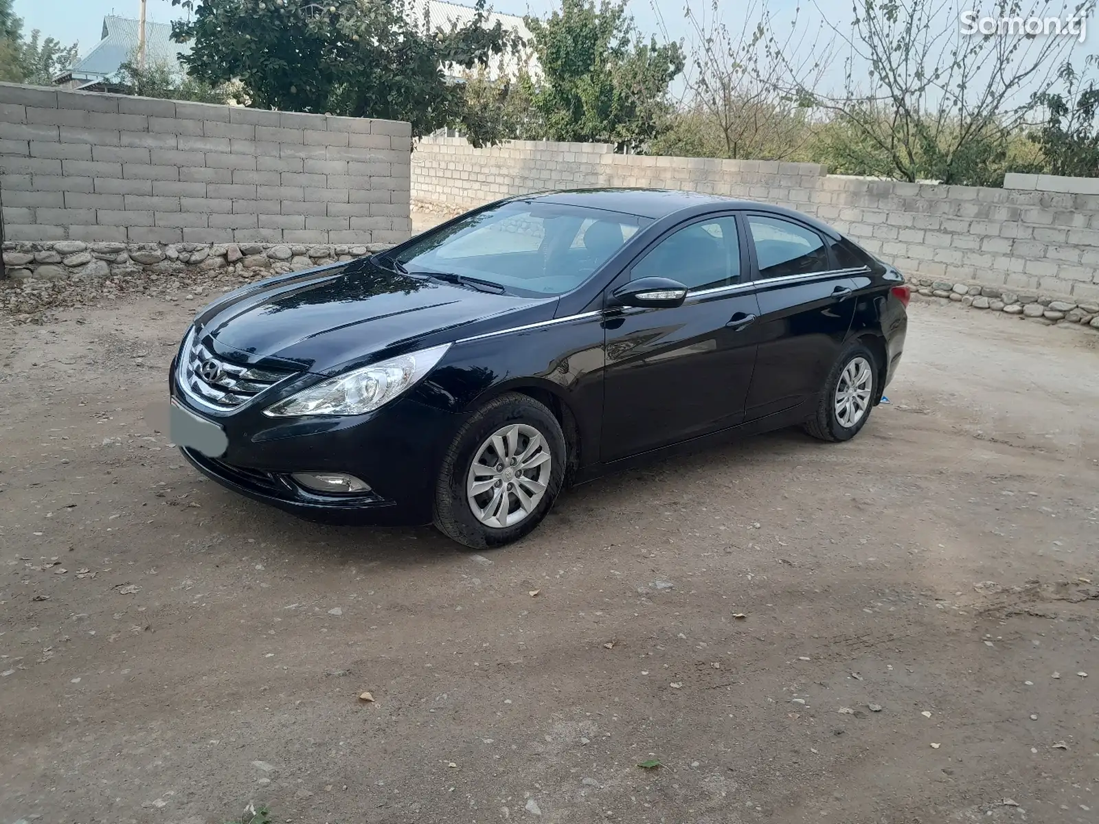 Hyundai Sonata, 2010-8