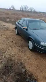 Opel Vectra C, 1994-3