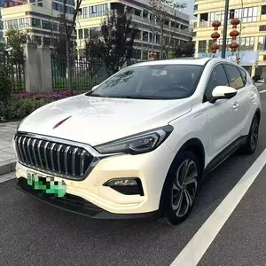 Hongqi E-HS3, 2020