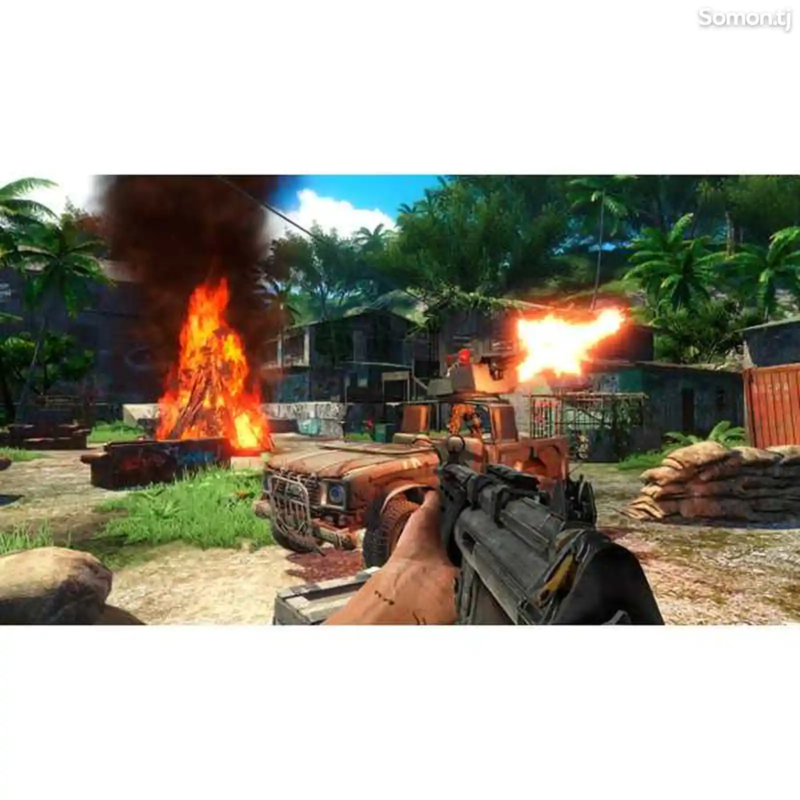 Игра Ubisoft Far Cry 3 Classic Edition для PS4-5