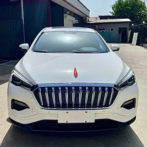 Hongqi E-HS3, 2019