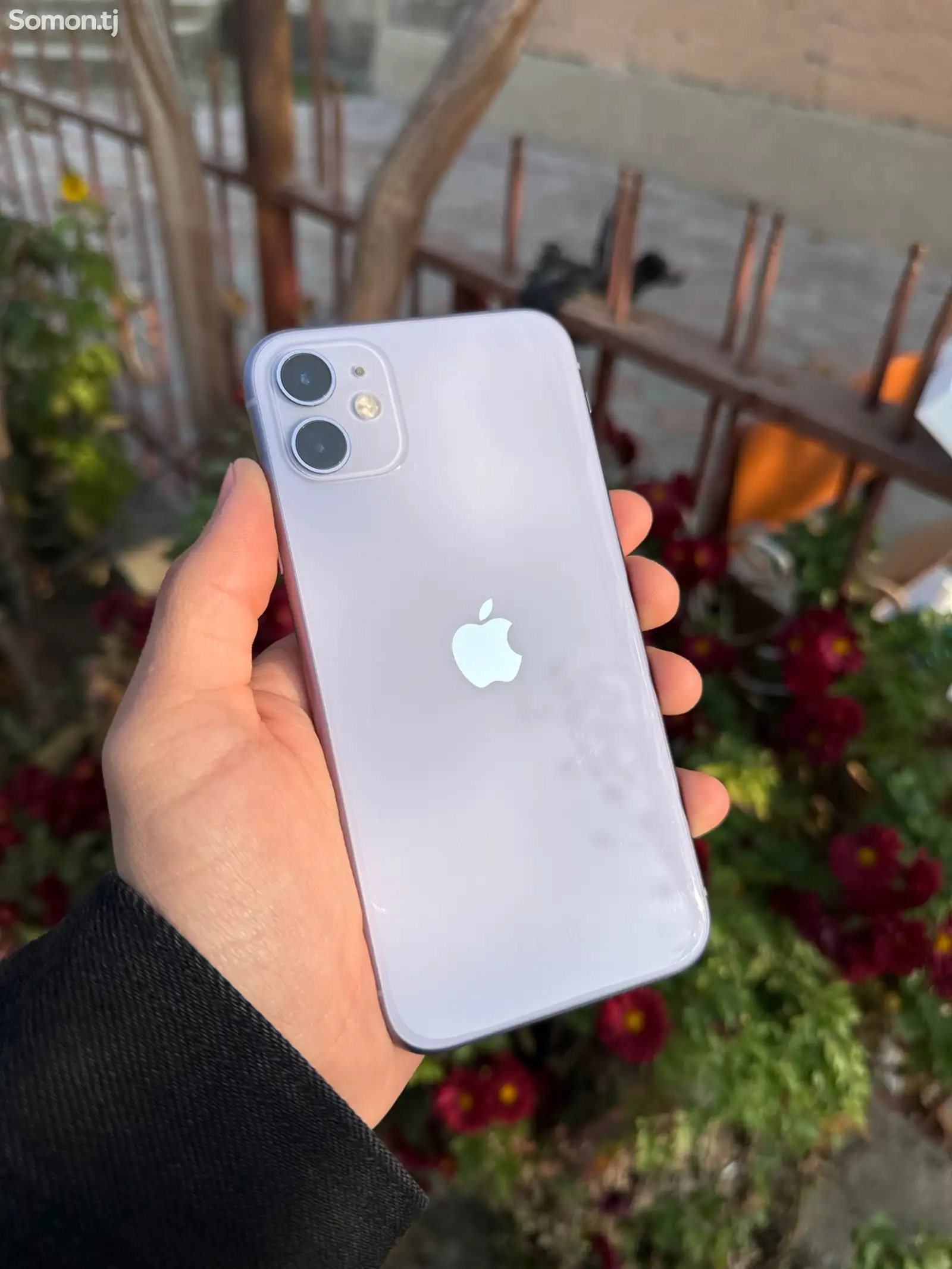 Apple iPhone 11, 128 gb, Purple-1