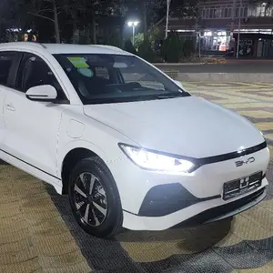 BYD E2, 2024