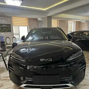 BYD Song Plus Flagship, 2024