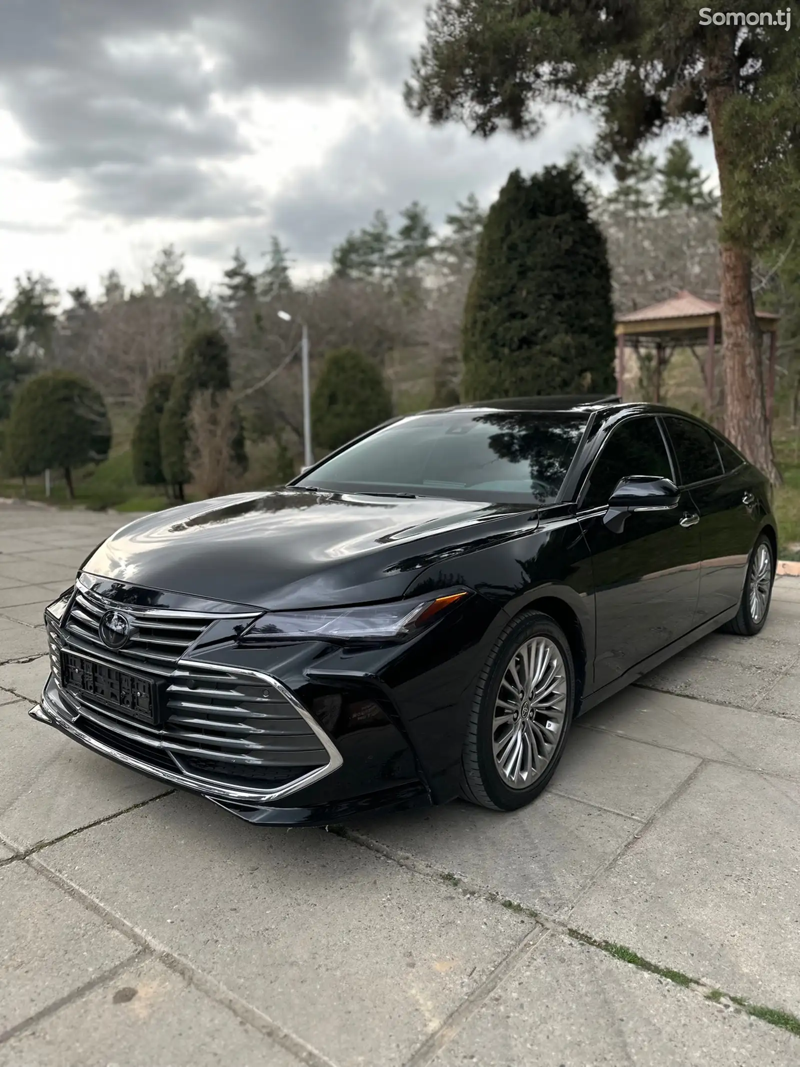 Toyota Avalon, 2023-1