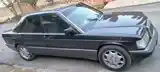 Mercedes-Benz W201, 1992-3