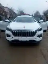 Hongqi E-QM5, 2019-2