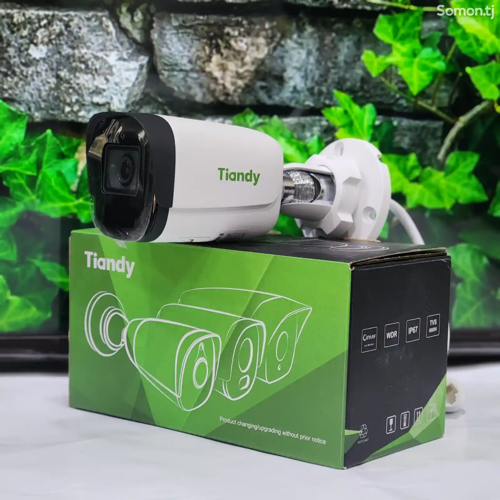 Камера Tiandy SMD IP 2MP со звуком TC-C32WS-1