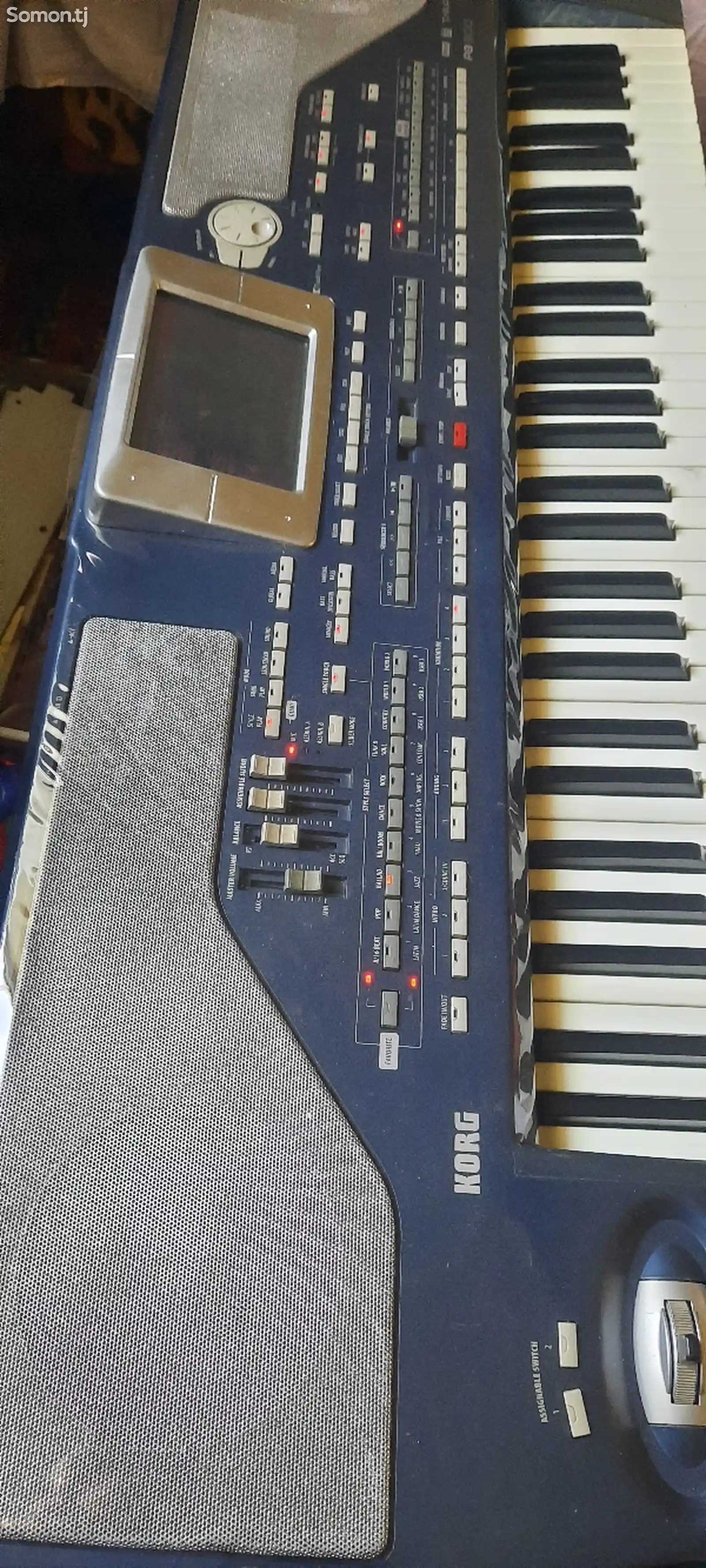 Синтезатор Korg pa800 Elita-1