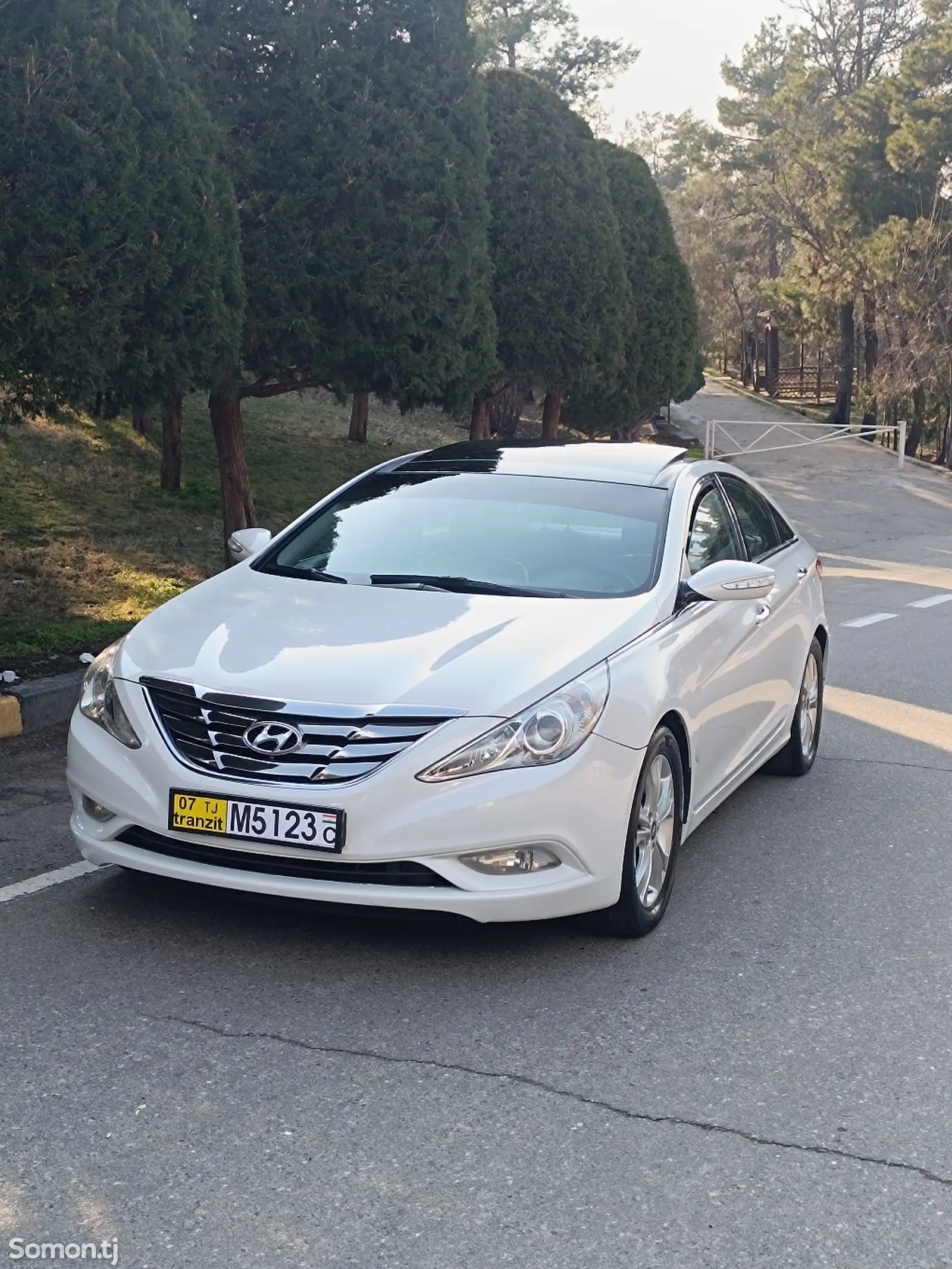 Hyundai Sonata, 2010-1