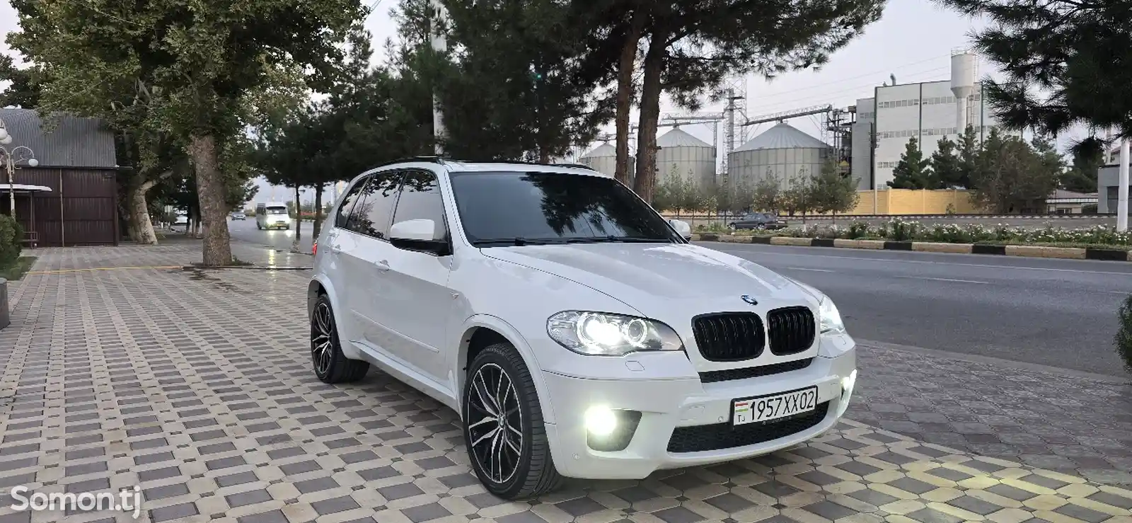 BMW X5, 2011-1