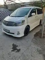 Toyota Alphard, 2007-4