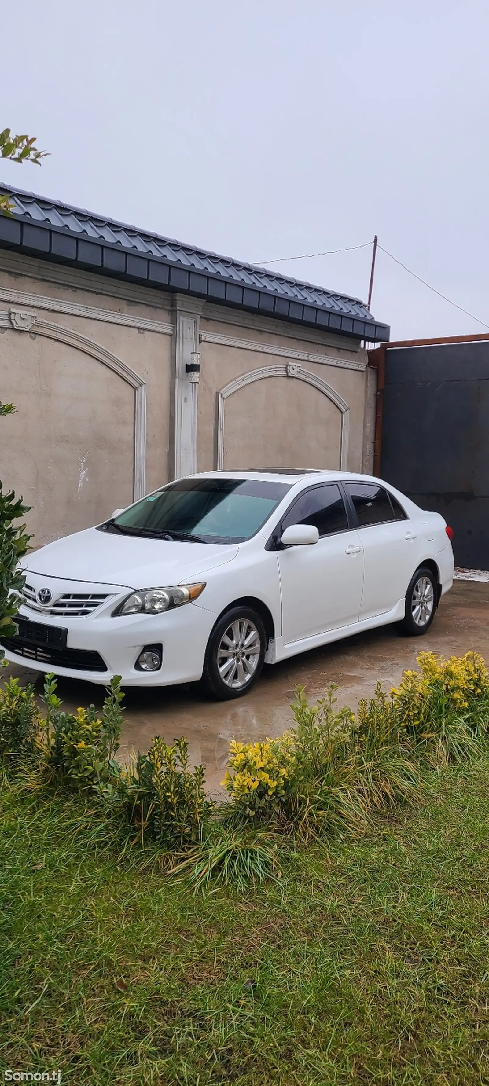 Toyota Corolla, 2011-1