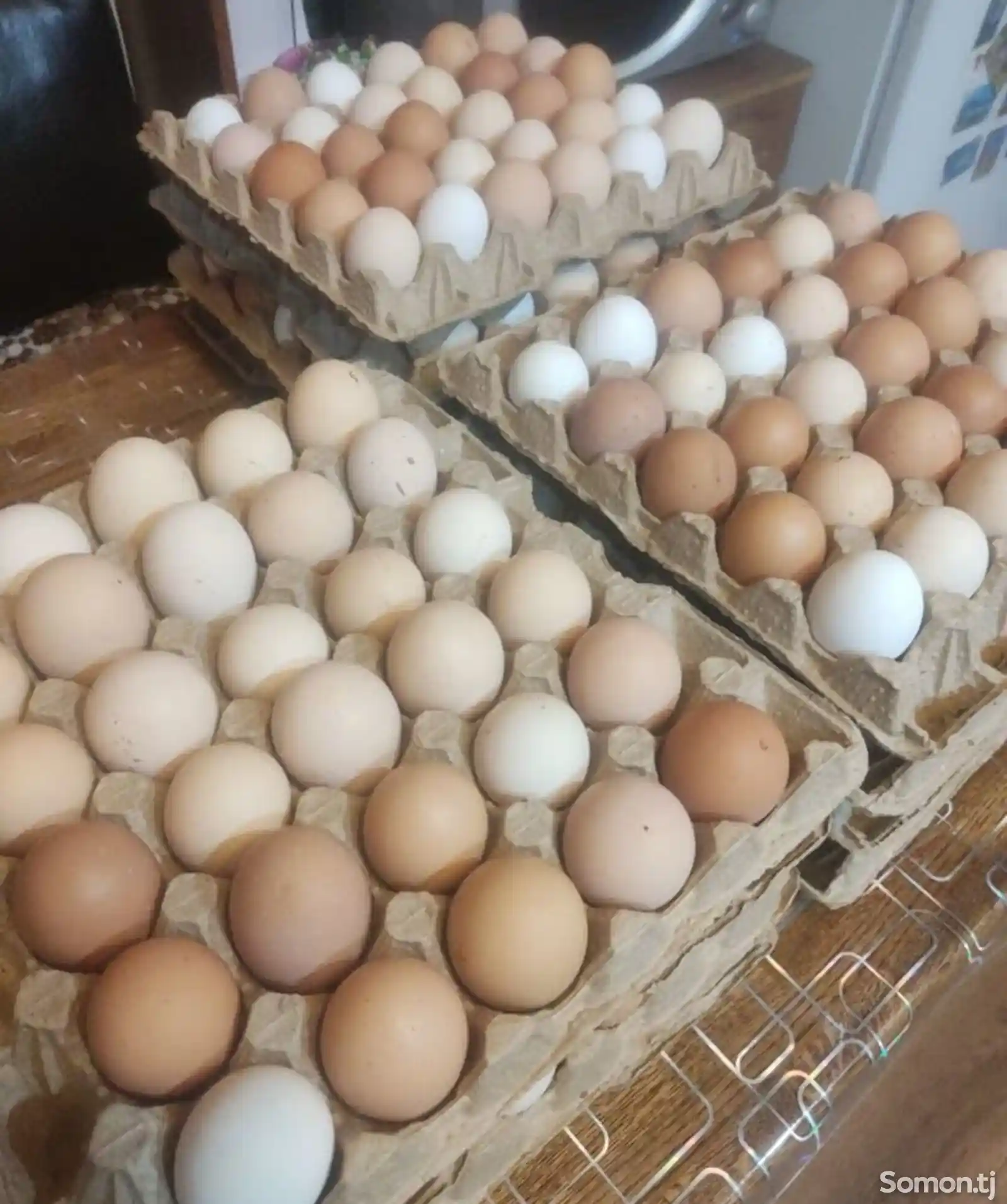 Яйца для инкубации-6