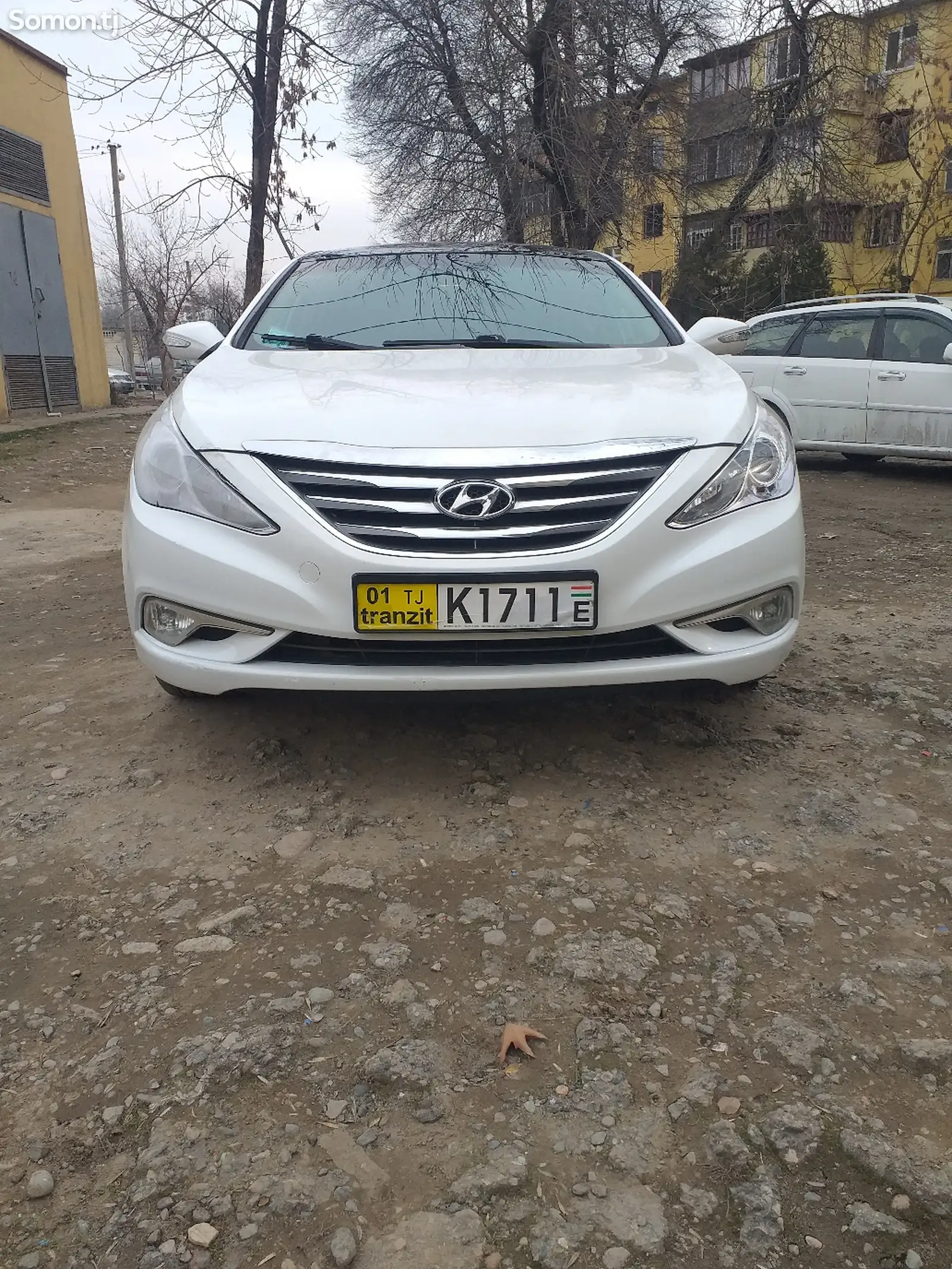 Hyundai Sonata, 2010-1