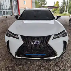 Lexus UX series, 2020