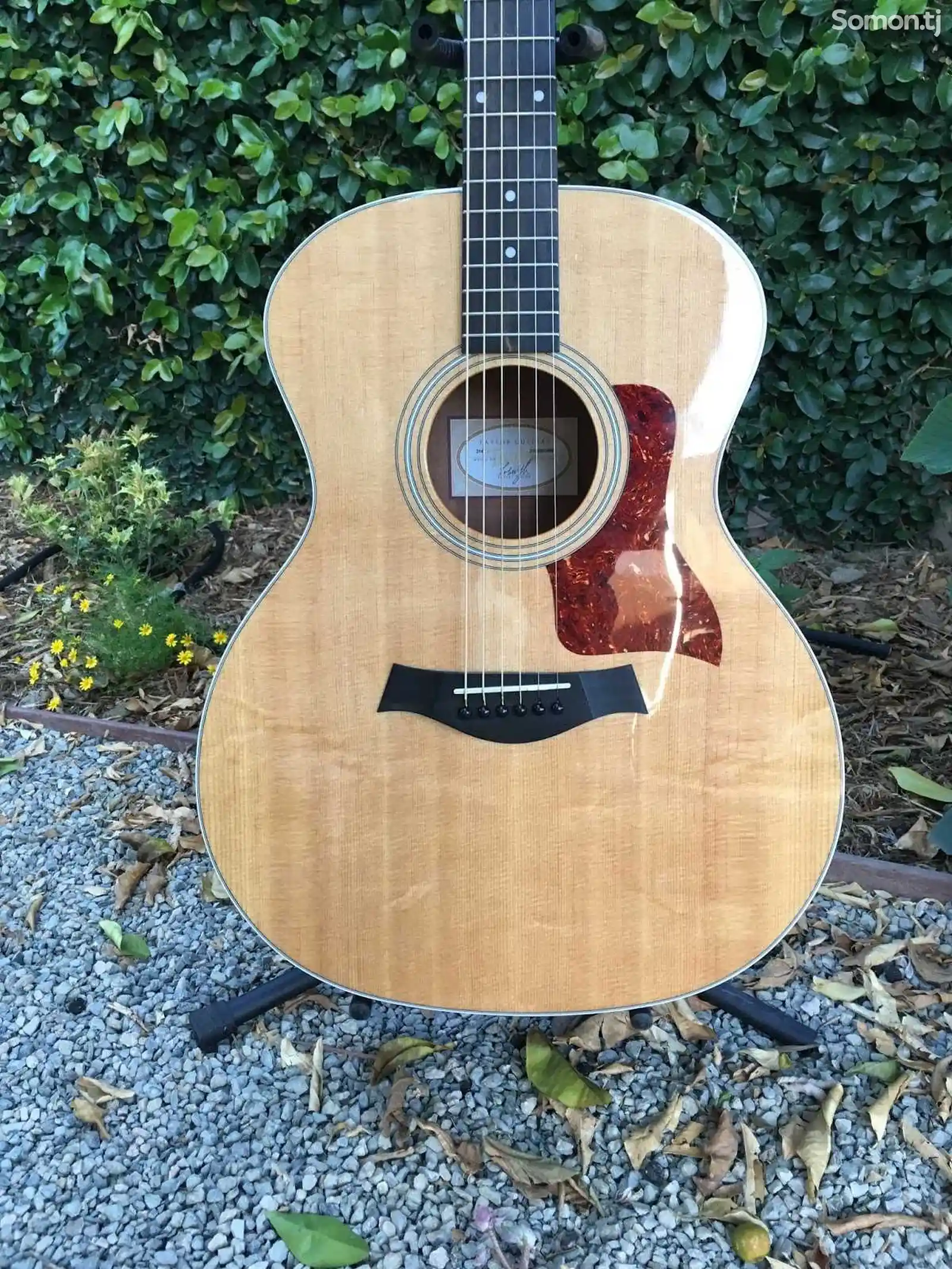 Акустическая гитара Taylor 214-1