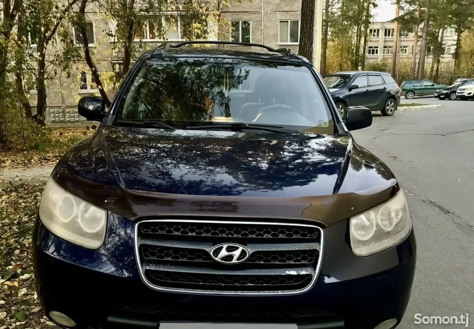 Hyundai Santa Fe, 2010-1