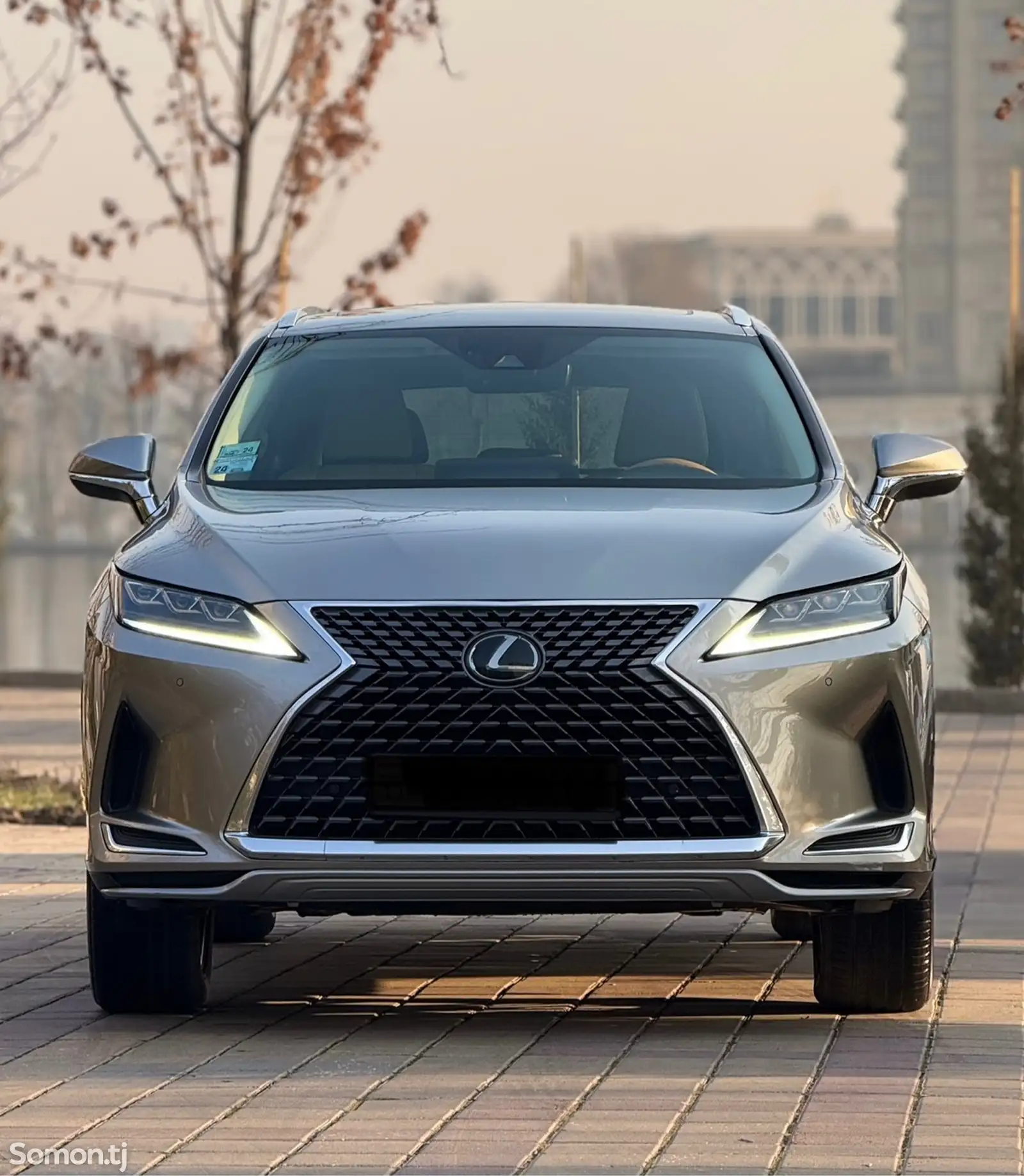 Lexus RX series, 2021-1