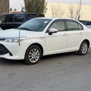 Toyota Axio, 2015