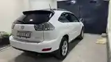 Lexus RX series, 2007-3