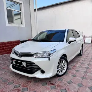 Toyota Axio, 2016