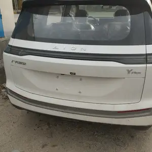 BYD B2, 2024