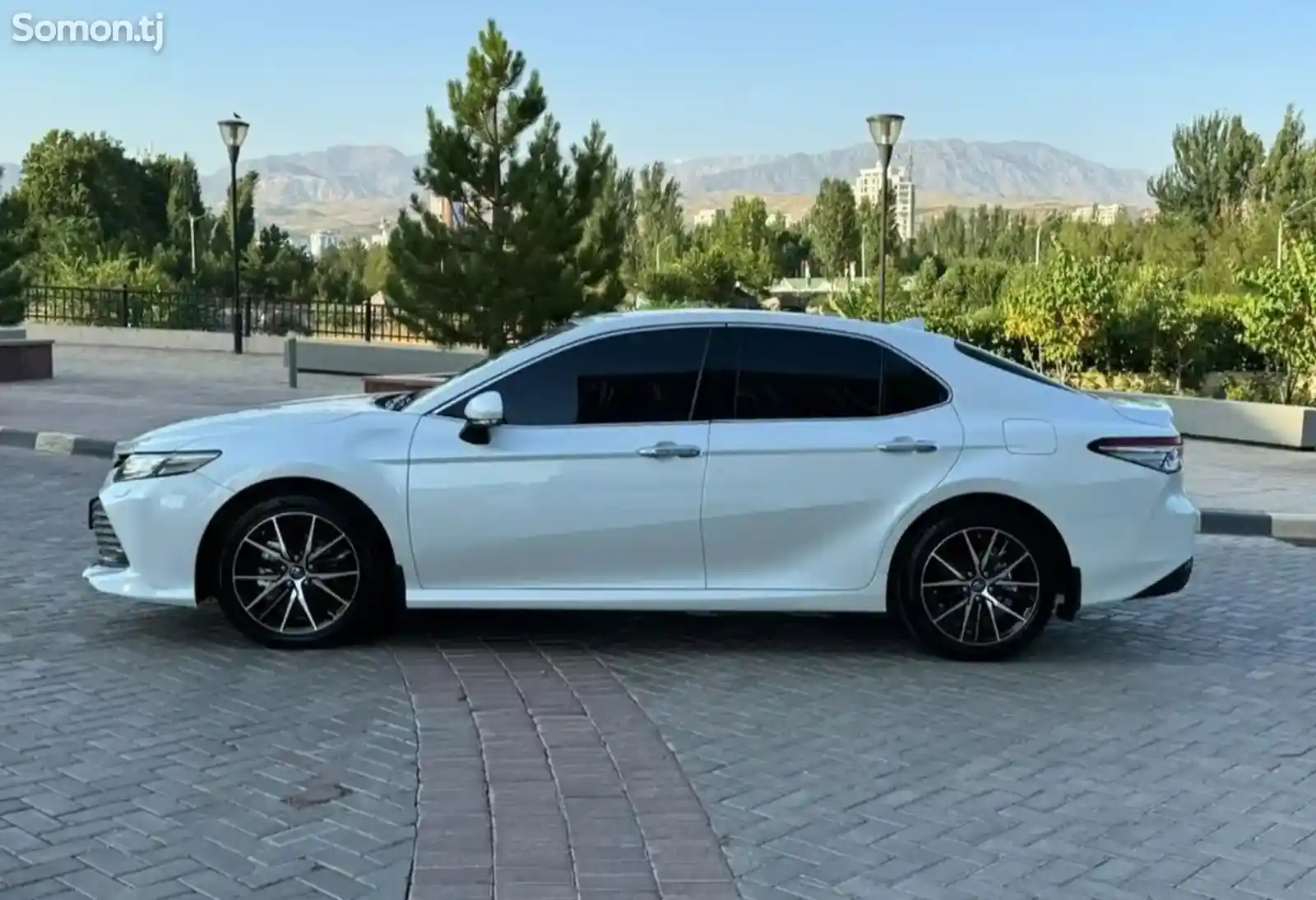 Toyota Camry, 2019-1