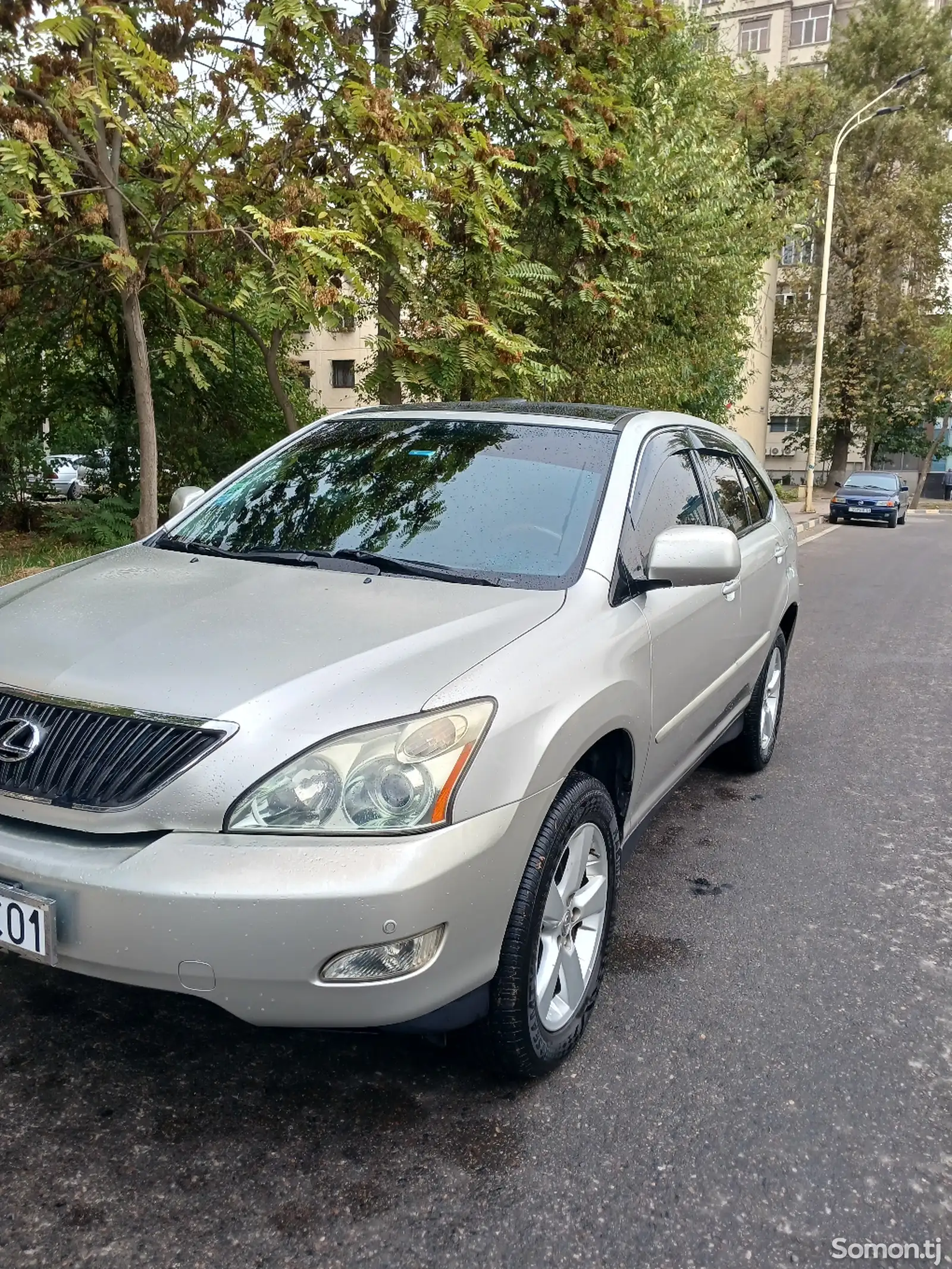 Lexus RX series, 2006-1