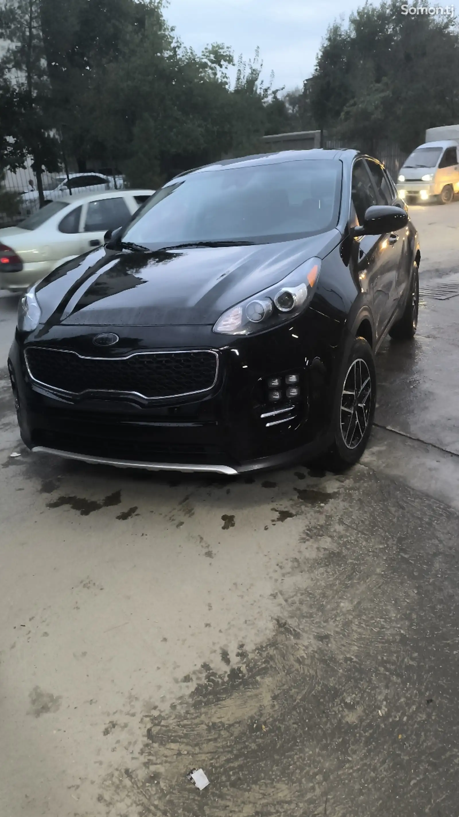 Kia Sportage, 2021-1