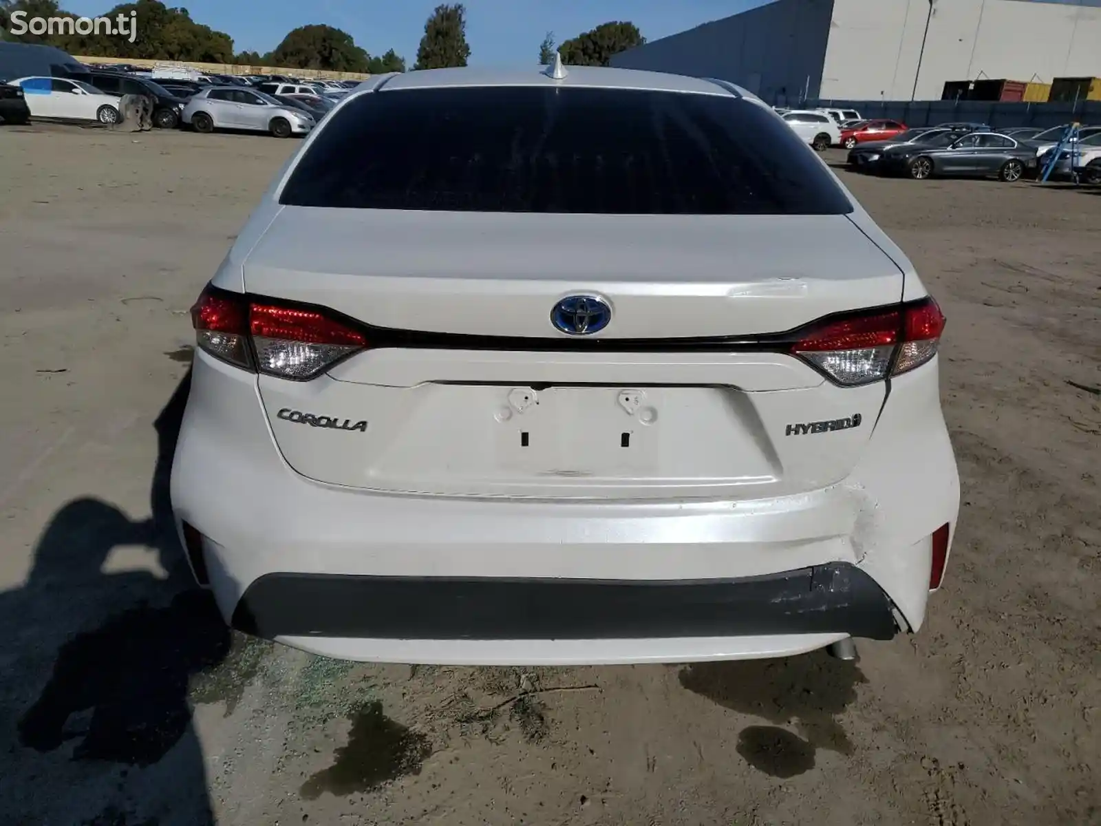 Toyota Corolla, 2019-10