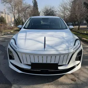 Hongqi E-QM5, 2024