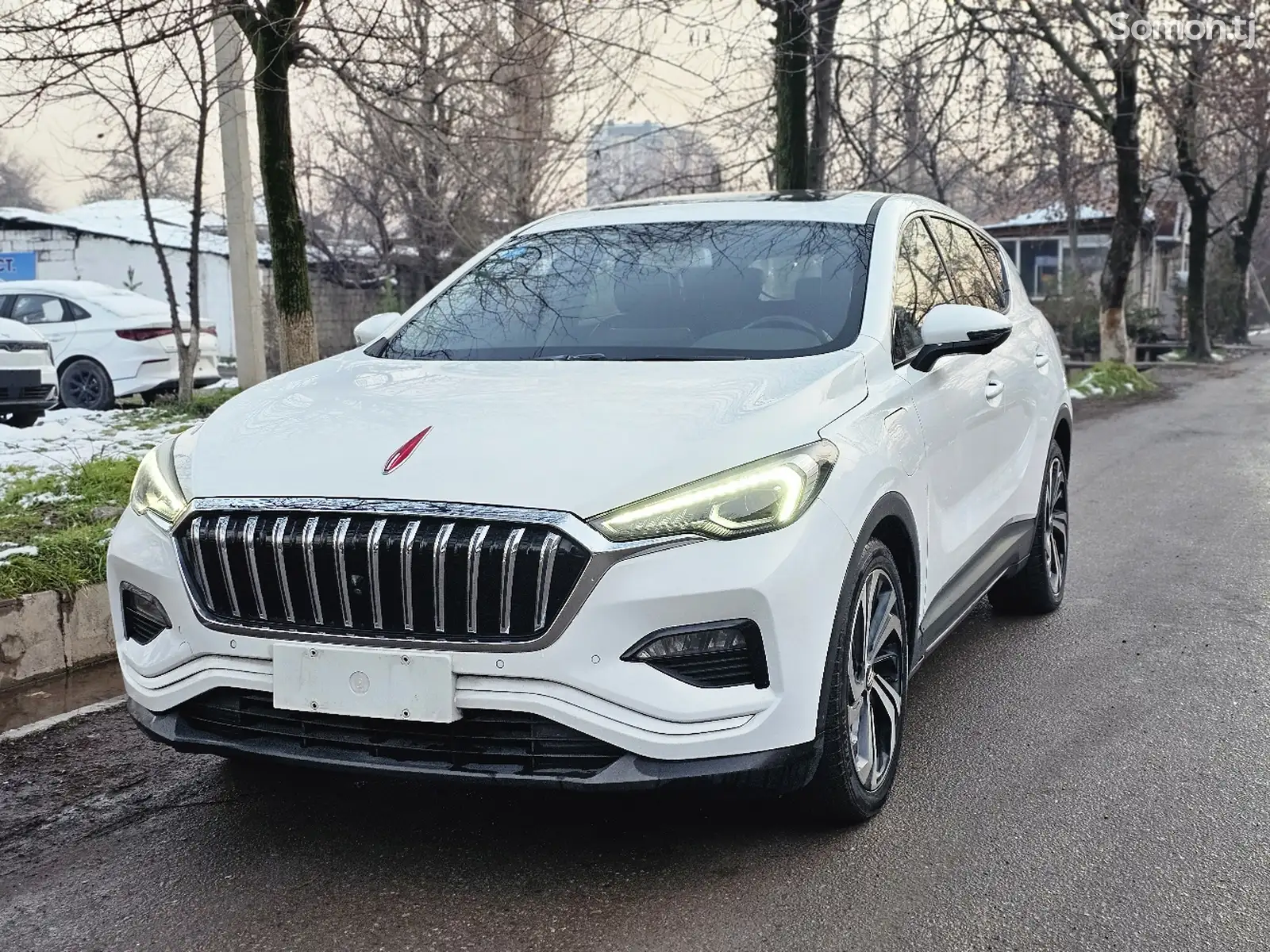 Hongqi E-HS3, 2019-1