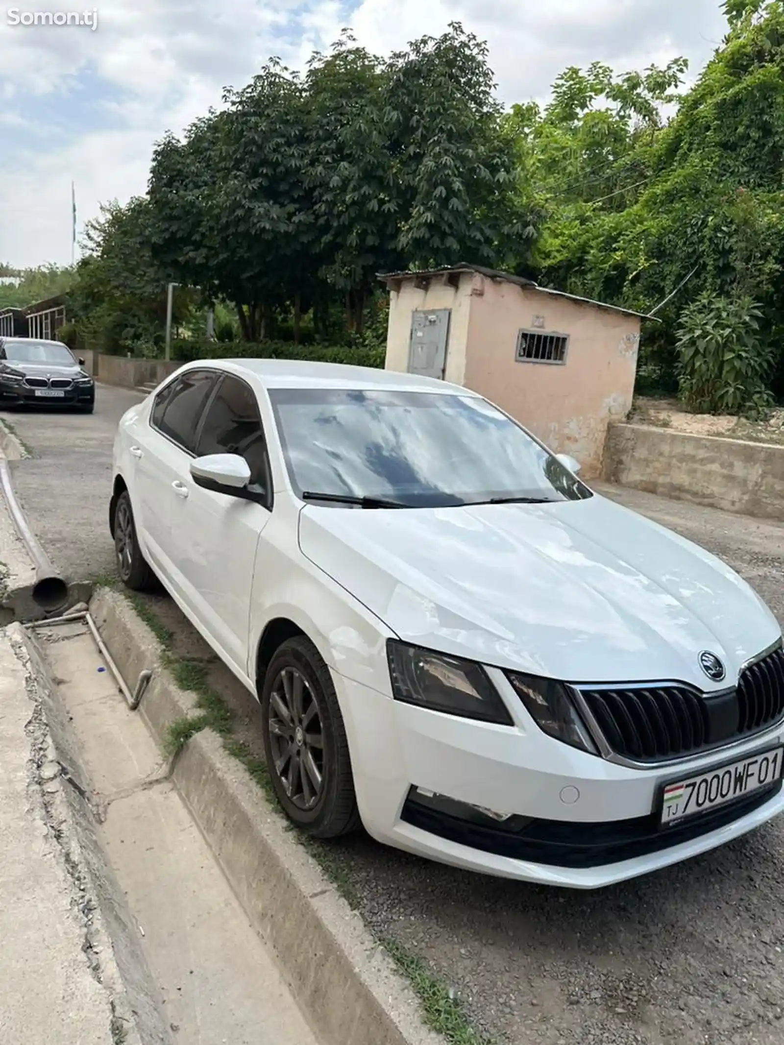 Skoda Octavia, 2019-5