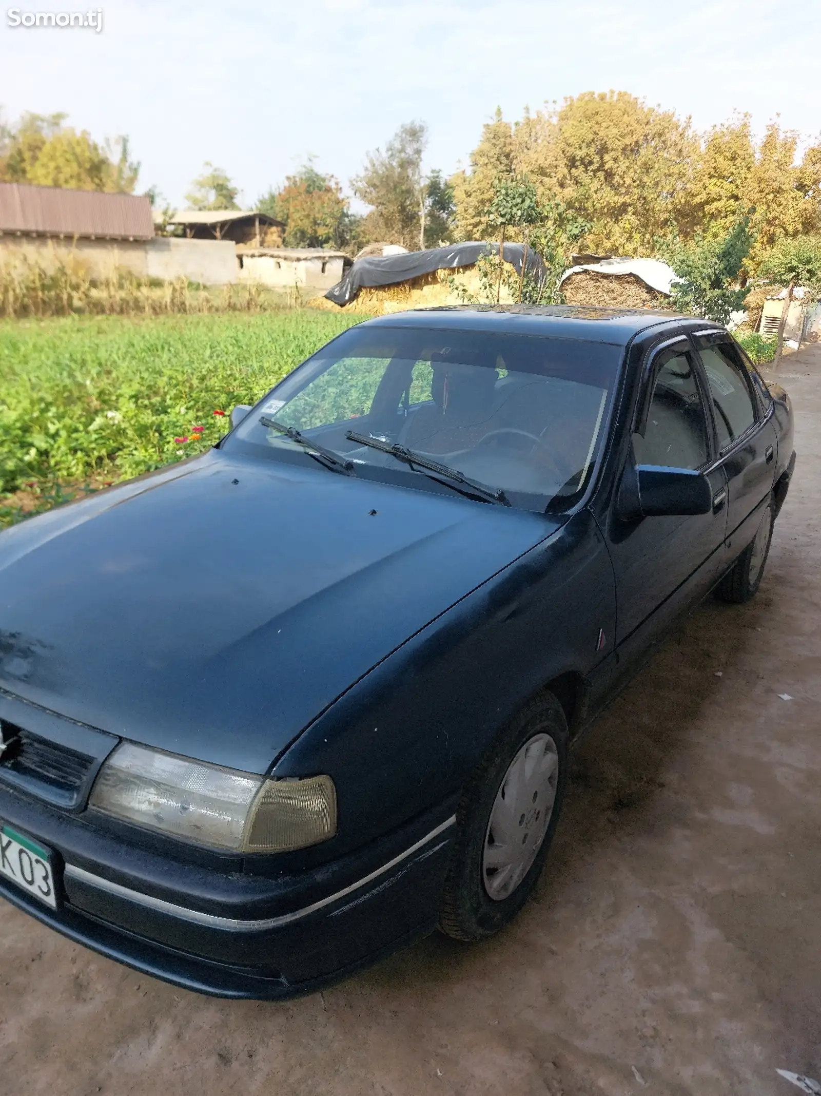 Opel Vectra A, 1994-3