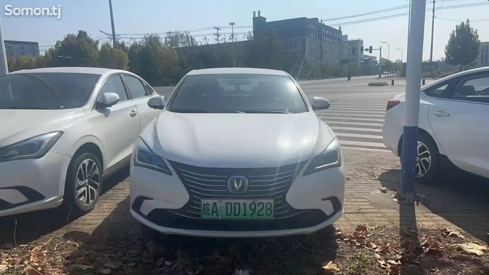 Changan Eado, 2020 на заказ-1