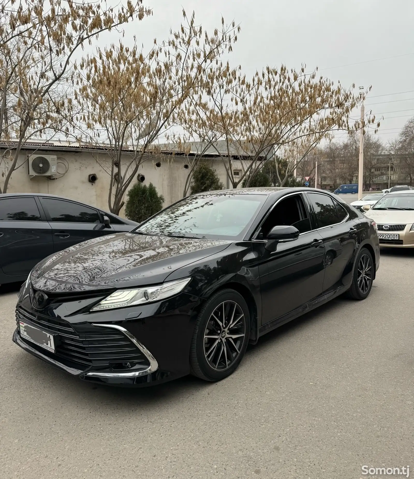 Toyota Camry, 2019-2