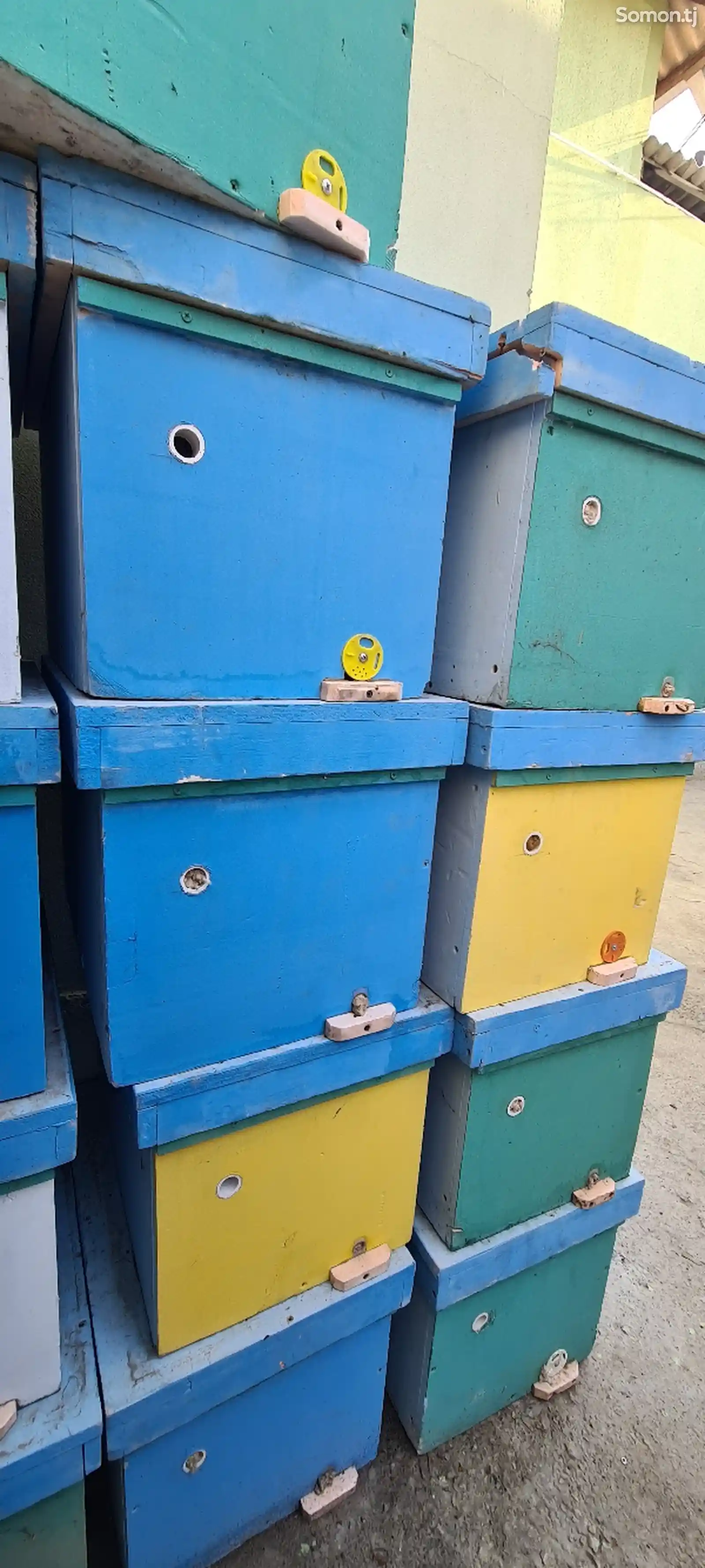 Ящики для пчелы-3