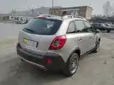 Opel Antara, 2008-3