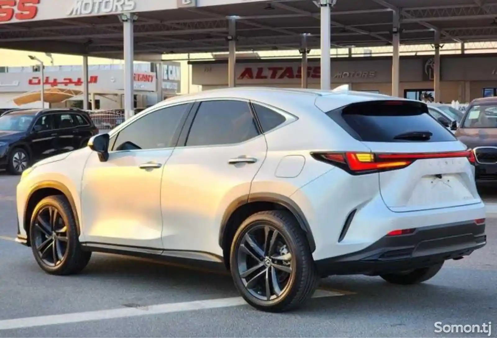 Lexus NX series, 2023-14