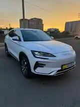 BYD Song Plus, 2024-2