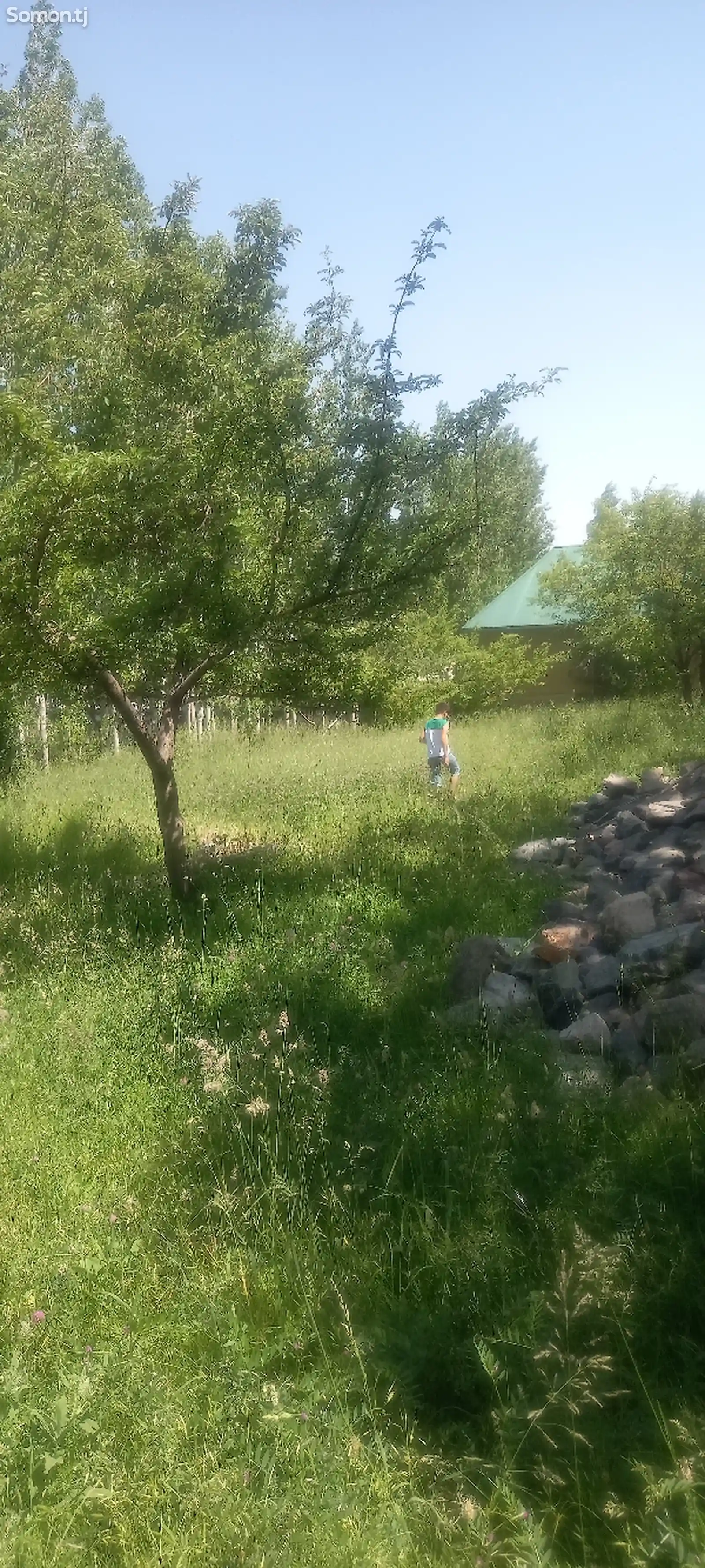 Продажа постройки с земельным участком 10 сот.,дехаи Мулломир, махалаи Навбахор-4