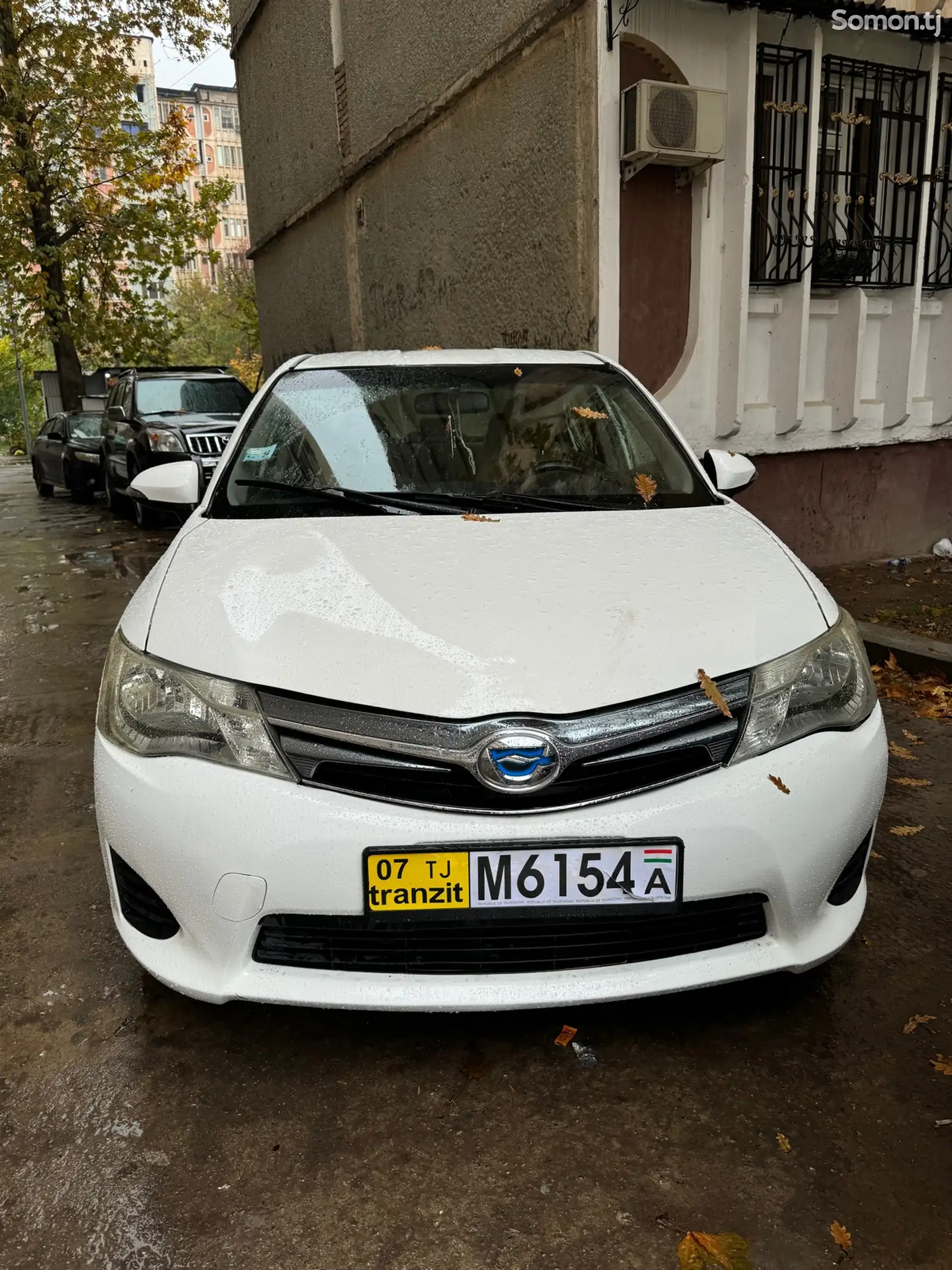 Toyota Axio, 2013-1