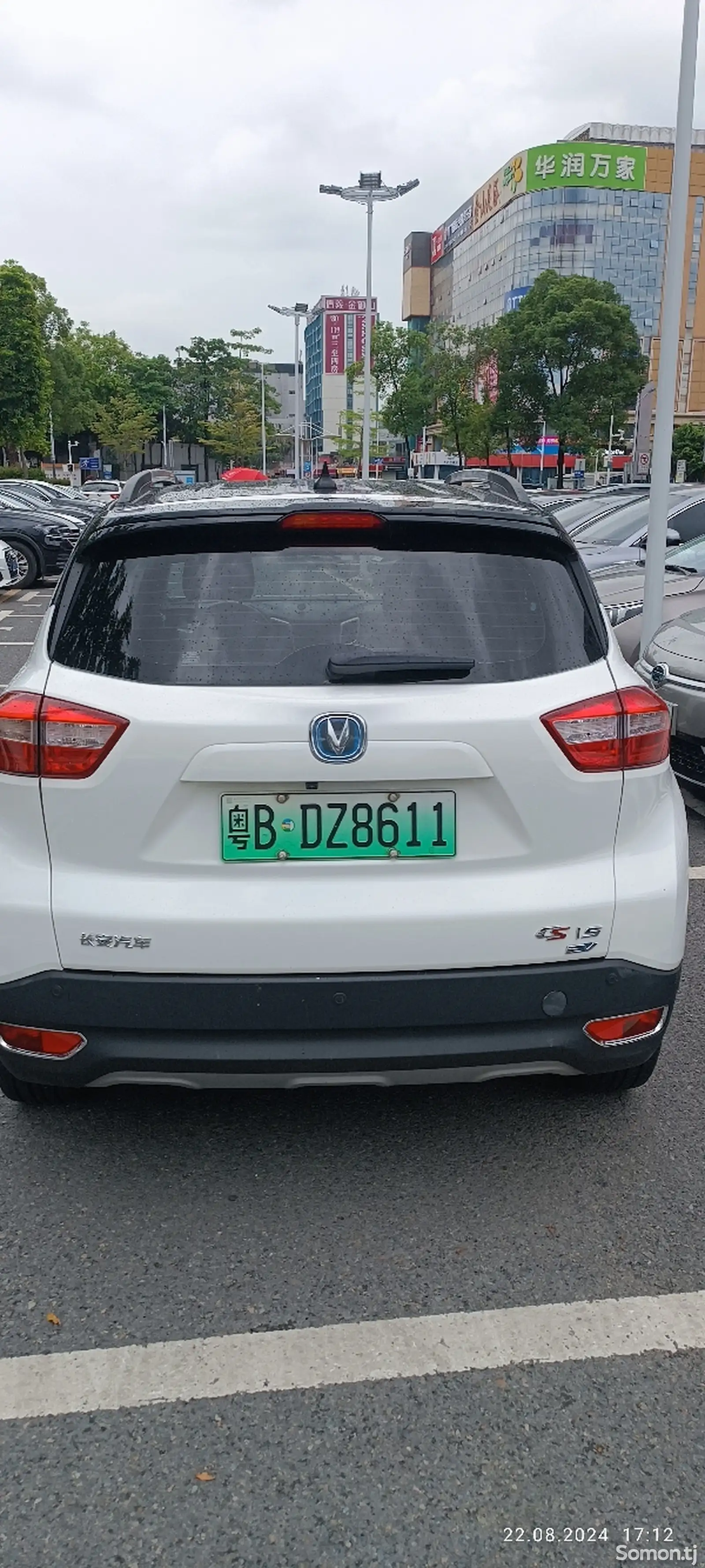 BYD Другие модели, 2019-7