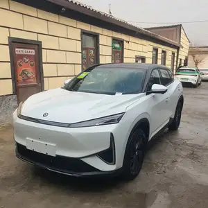 Dongfeng L7, 2025