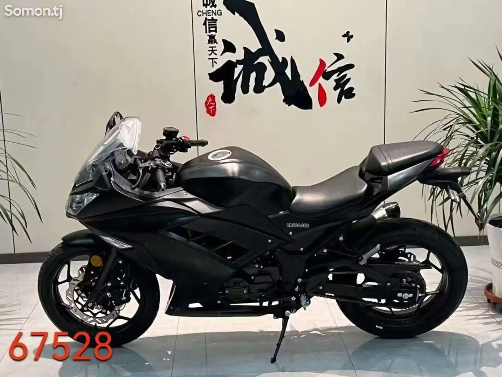 Kawasaki Ninja 200RR на заказ-5